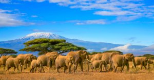 Idée voyage en Tanzanie