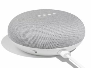 mini google home