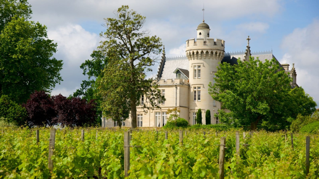 On adore : Bordeaux évidemment ! Cette ville magnifique est sans aucun doute le cœur de cette belle région viticole. On vous conseille : Faire un tour à la Cité du vin ! Ce haut lieu de la culture qui captive par son architecture moderne, retrace l’histoire de la vigne et du vin de la région. 