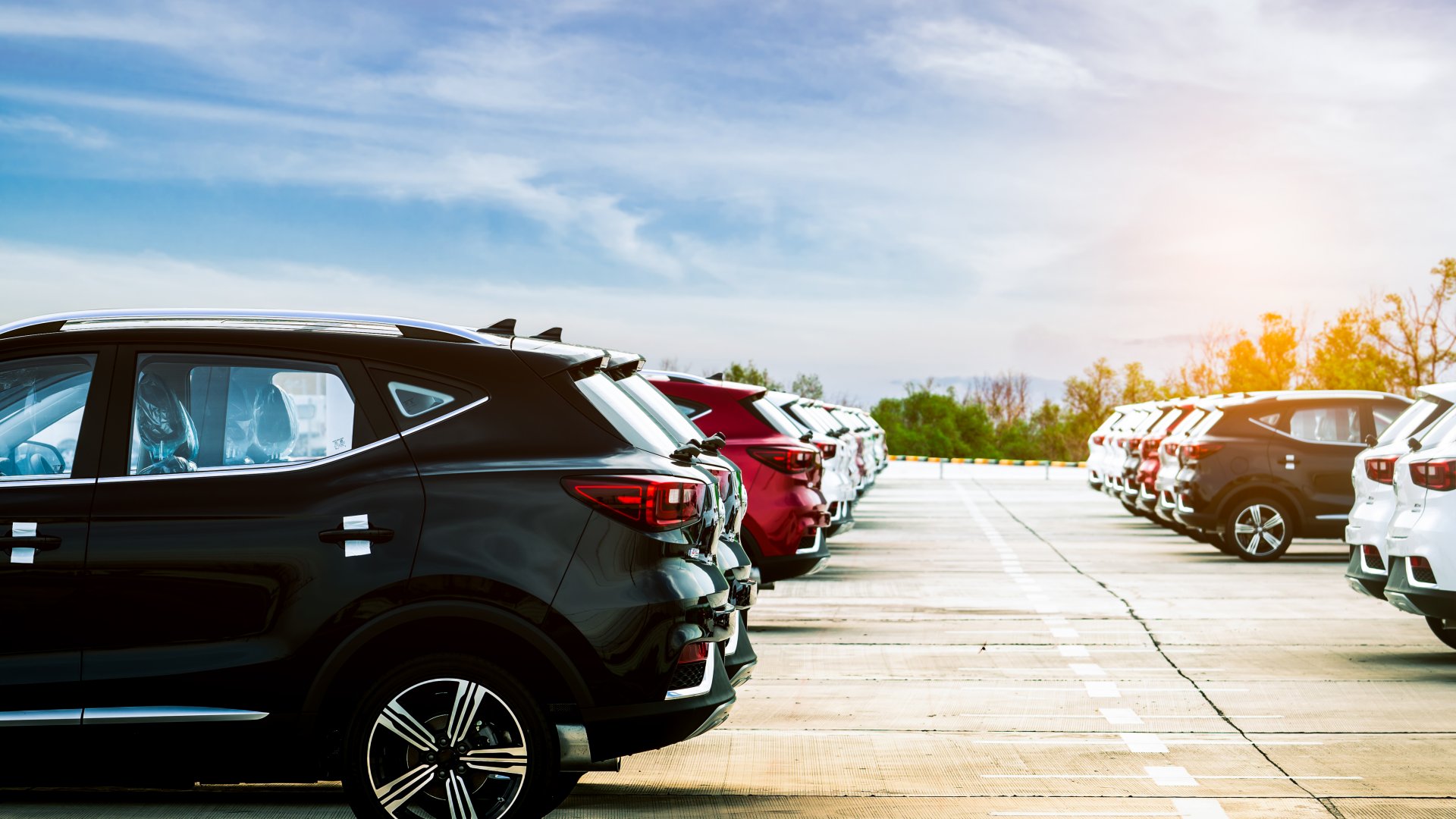 Marché de l'automobile 2019