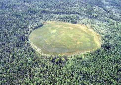 Forêt hantée d’Hoia-Baciu